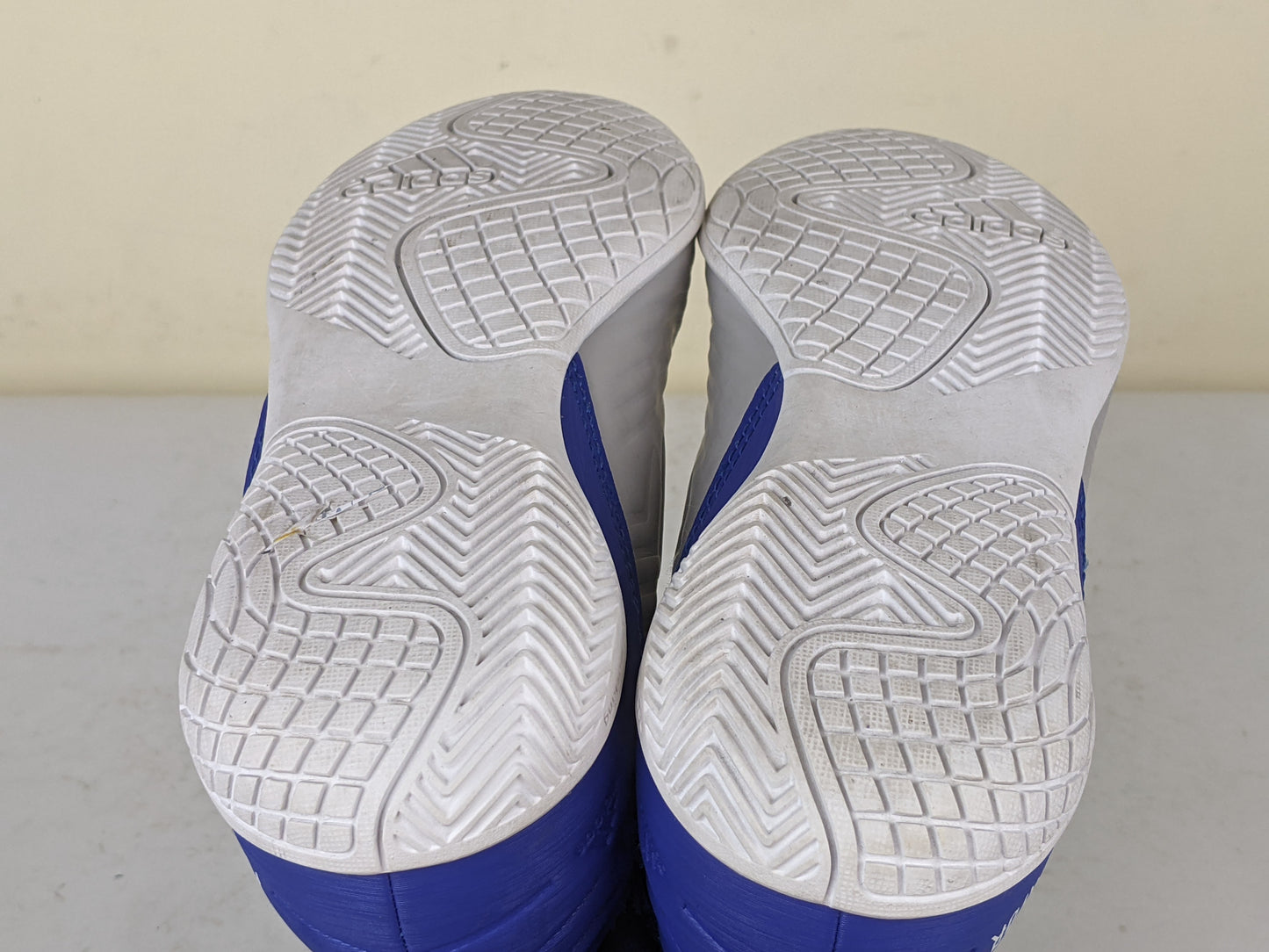 adidas Predator Tango 19.3 IN Virtuso - Grey Two/Footwear White/Bold Blue Kids